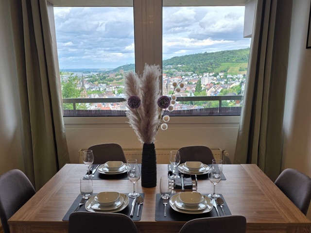 Rheintalblick