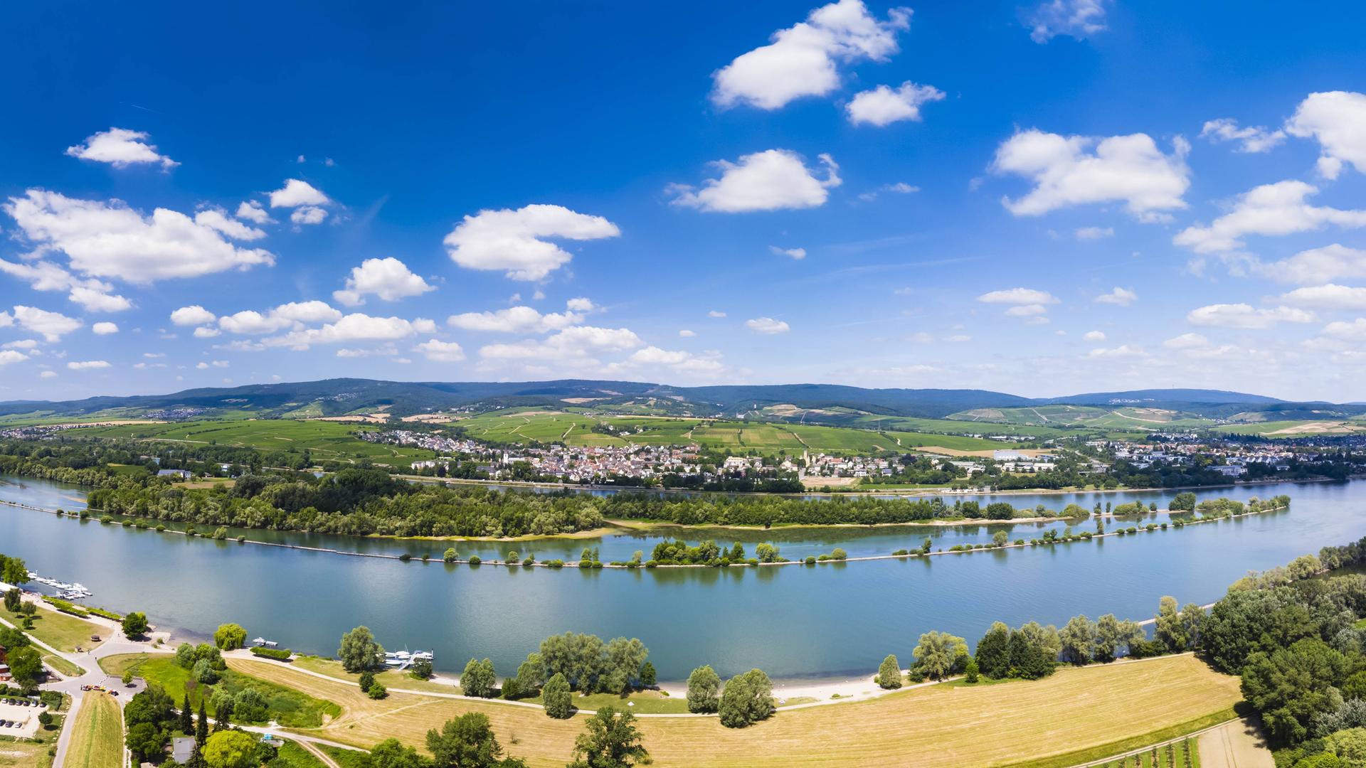 Rheingau / Eltville Erbach