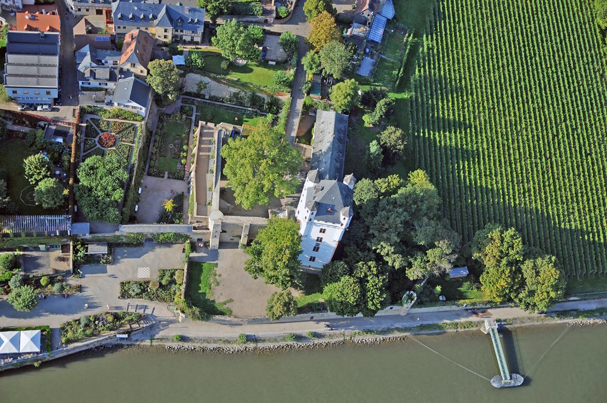 Eltville von oben