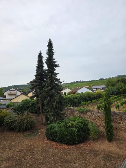Idylle am Weinberg – Foto 5